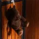 Kentucky Relax Horse Toy Bear